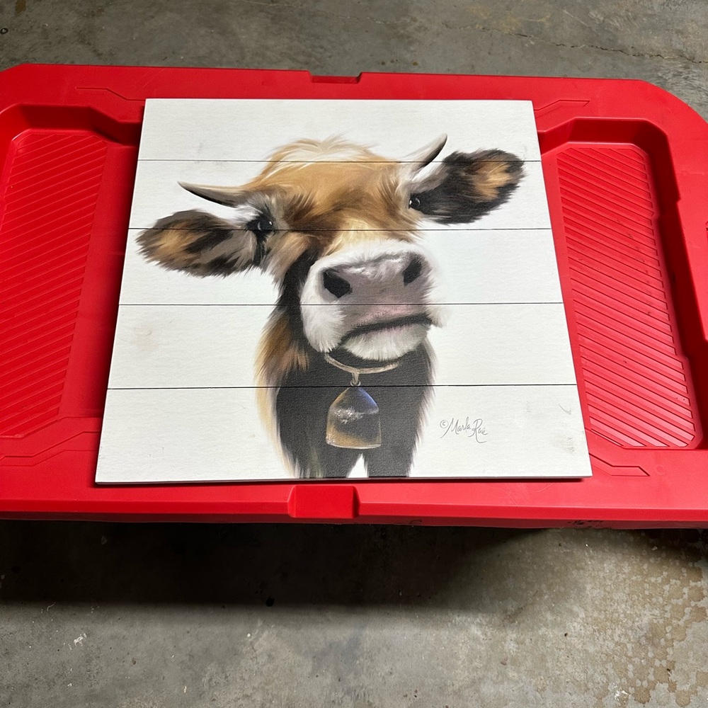 Cute cow picture